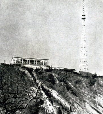 318170.jpg