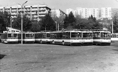 352935.jpg