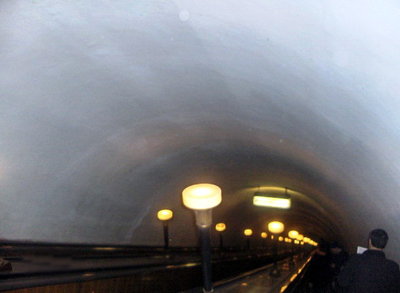 22694224.jpg